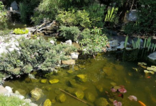 Garden Center Nowrot购物图片