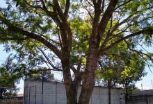 Iglesia Menonita Sinaí景点图片