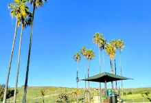 Vista Del Mar Park景点图片