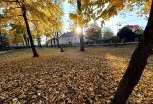 Schlosspark Pöchlarn景点图片