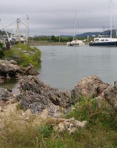 Fig Tree Markets-耶蓬