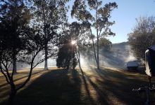 Canungra Conservation Park景点图片