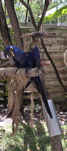 Theater of the Sea-伊斯拉莫拉达