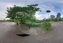 Lambley Millennium Oak景点图片