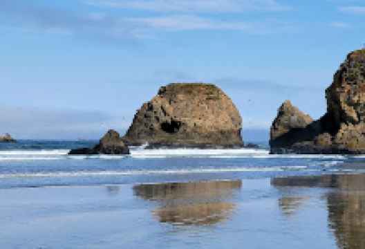 Willits Arch景点图片