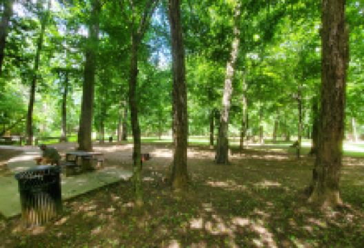 James Shackelford Park景点图片