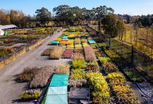 Kiwiflora Nursery – Christchurch Garden Centre & Nursery购物图片