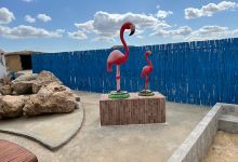 Museo de la Sal Ichi景点图片