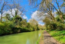 Stoke Bruerne Brick Pits景点图片