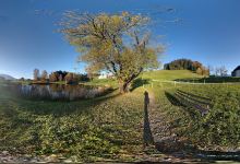 Dörnle See景点图片