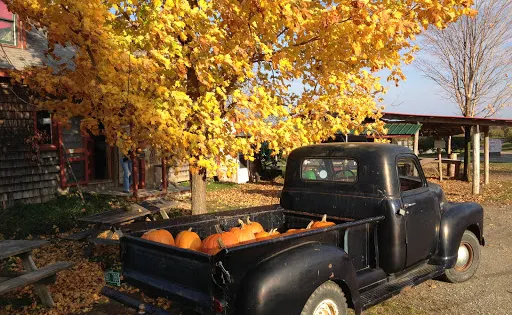 Shelburne Orchards