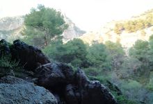 Cueva del Sauco景点图片