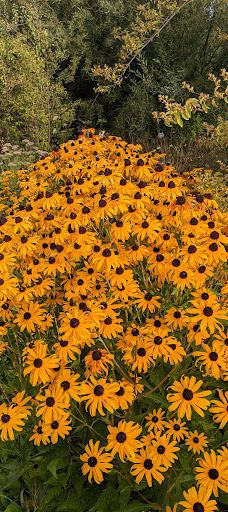 Bruce Starker Arts Park And Natural Area-科瓦利斯