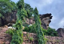 Sagar trekkers Crocodile Rock景点图片