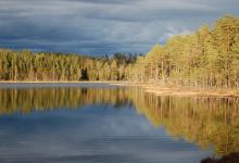 Løiten Almenning景点图片