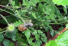 Europaschutzgebiet景点图片