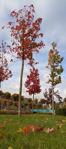 Pryberezhnyy square-Dnipropetrovs'ka city council