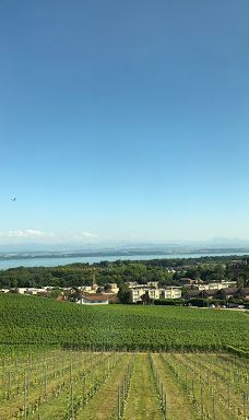 Domaine de Chambleau-Milvignes