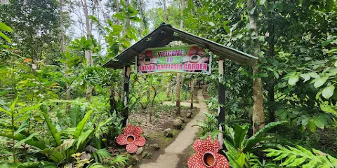 Adenna Rafflesia Garden