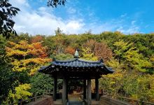 莞岛树木园景点图片