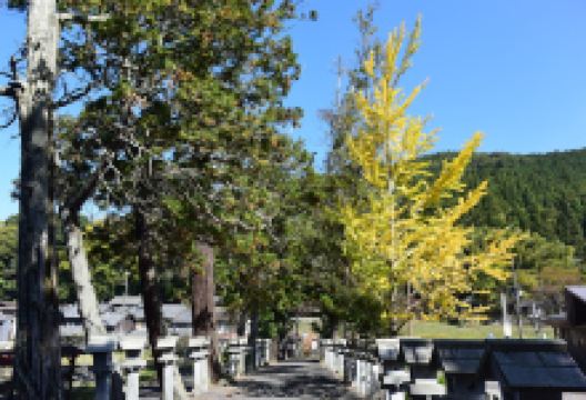 御井神社景点图片