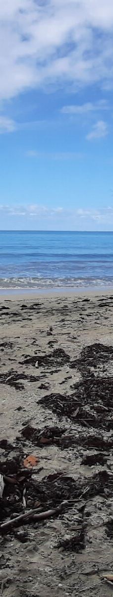 卡维塔国家公园-Talamanca