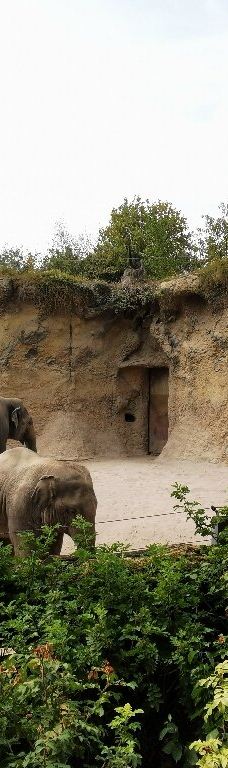 海德堡动物园-海德堡