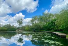 Daisy Nook Country Park景点图片