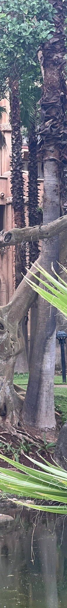 The Maze of the Lost City-太阳城