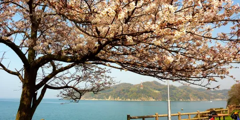 黒島海浜公園展望台