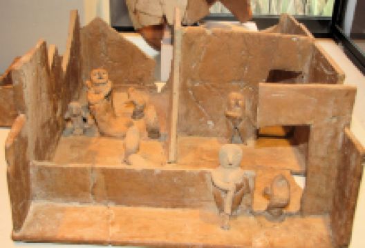 Didactic Museum Antonini景点图片