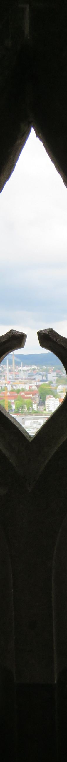 乌尔姆大教堂-乌尔姆