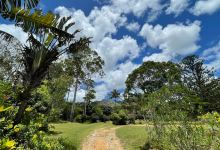 Nahampoana Reserve景点图片