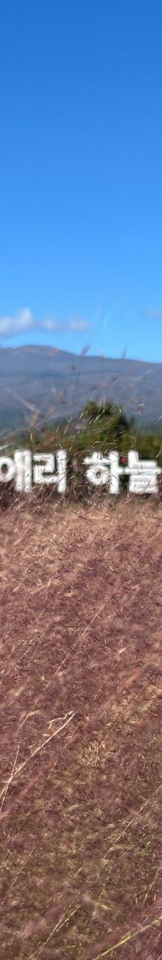 休爱里自然生活公园-西归浦市