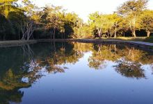 Lagoa Quente de Pirapitinga景点图片