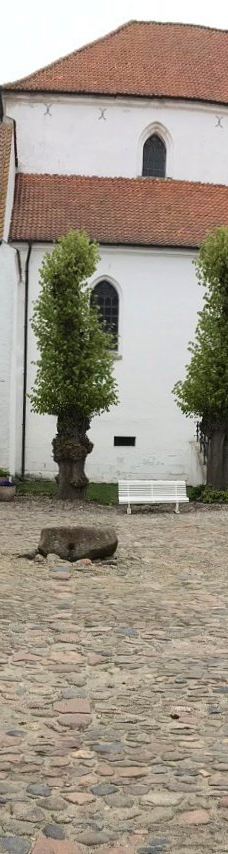 Borglum Kloster-弗罗