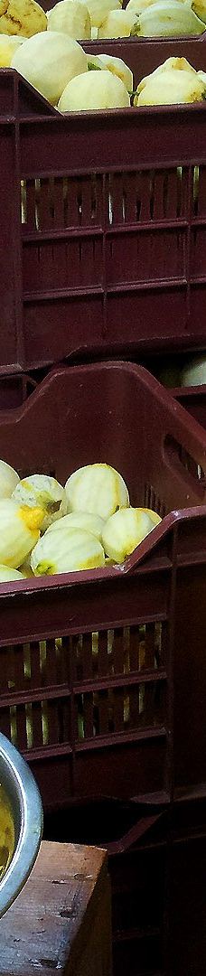 I Giardini di Cataldo-索伦托