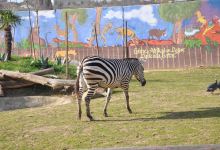 Bogazici Hayvanat Bahcesi景点图片
