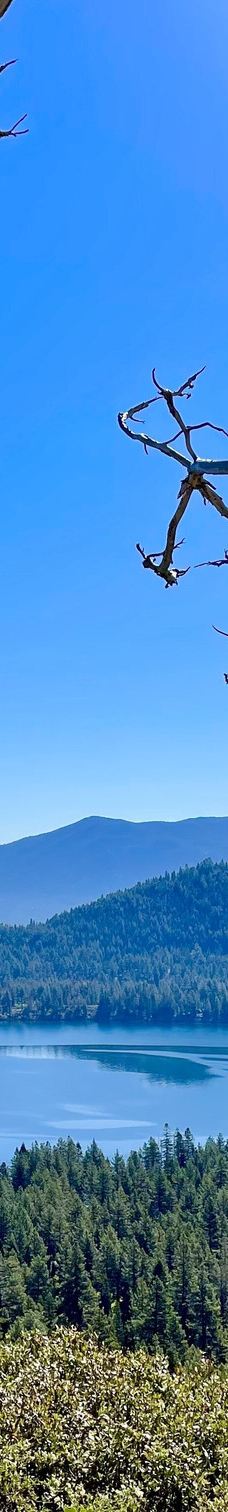 Mt. Tallac Trail-埃尔多拉多县