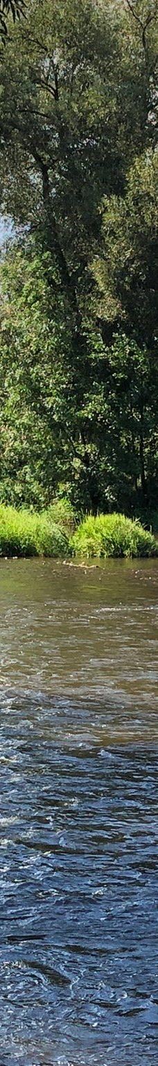 市场温泉回廊-卡罗维发利