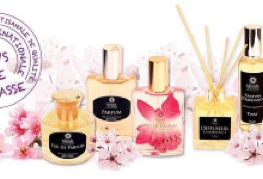 La Bastide des Aromes购物图片