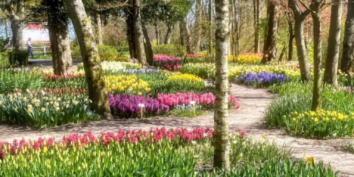 Poldertuin Anna Paulowna, Klein Keukenhof