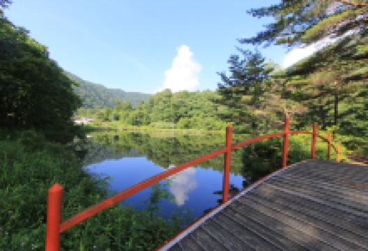 夜の池景点图片