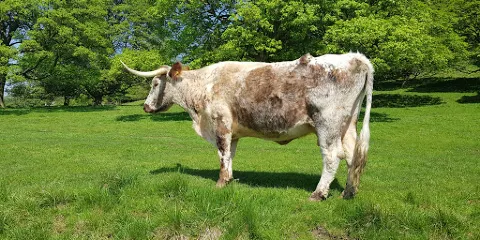 Stainsby Mill at Hardwick Estate
