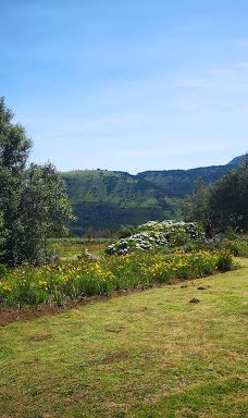 The Edge Labyrinth-阿玛索雷区自治市