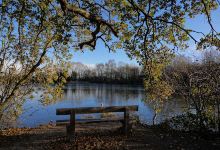 Eastrington Ponds Nature Reserve景点图片
