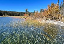 Peter Hope Lake North Recreation Site景点图片