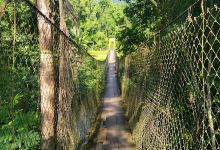 Ponte pênsil景点图片