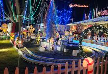 Christmas Lights Tour景点图片