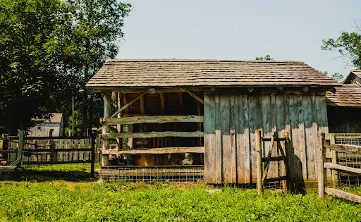 Stamford Museum & Nature Center